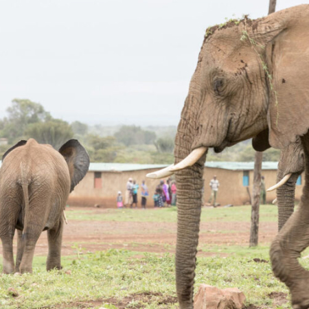 Eco Warrior Awards 2024: Mugie Conservancy Recognized as a Leader in Biodiversity Conservation